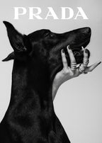 Haute couture, instincts supérieurs