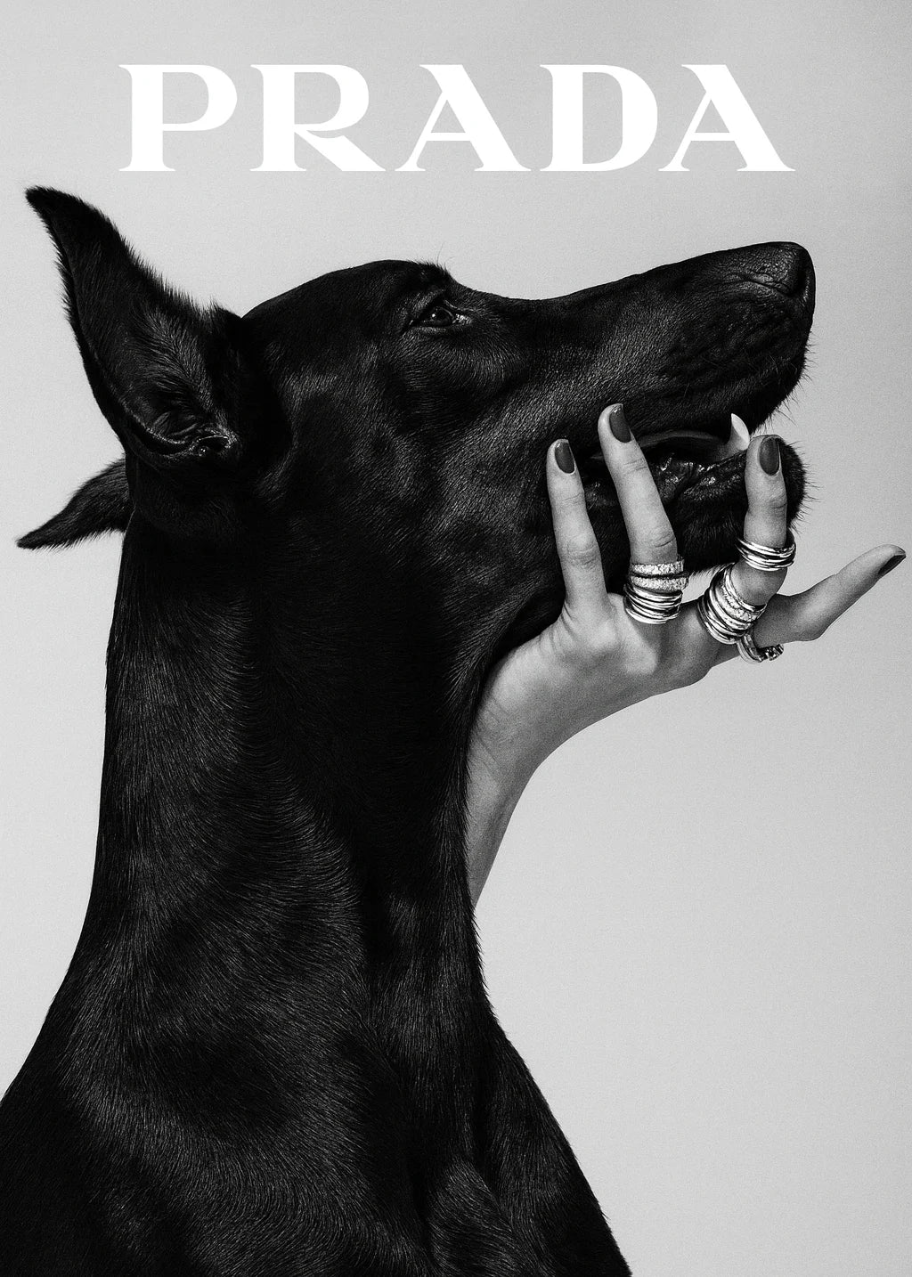 High Fashion, Higher Instincts