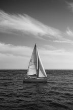 Tout droit sorti de Marina