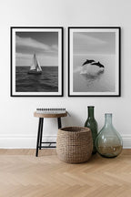 Tout droit sorti de Marina