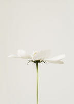 Je fais de mon mieux