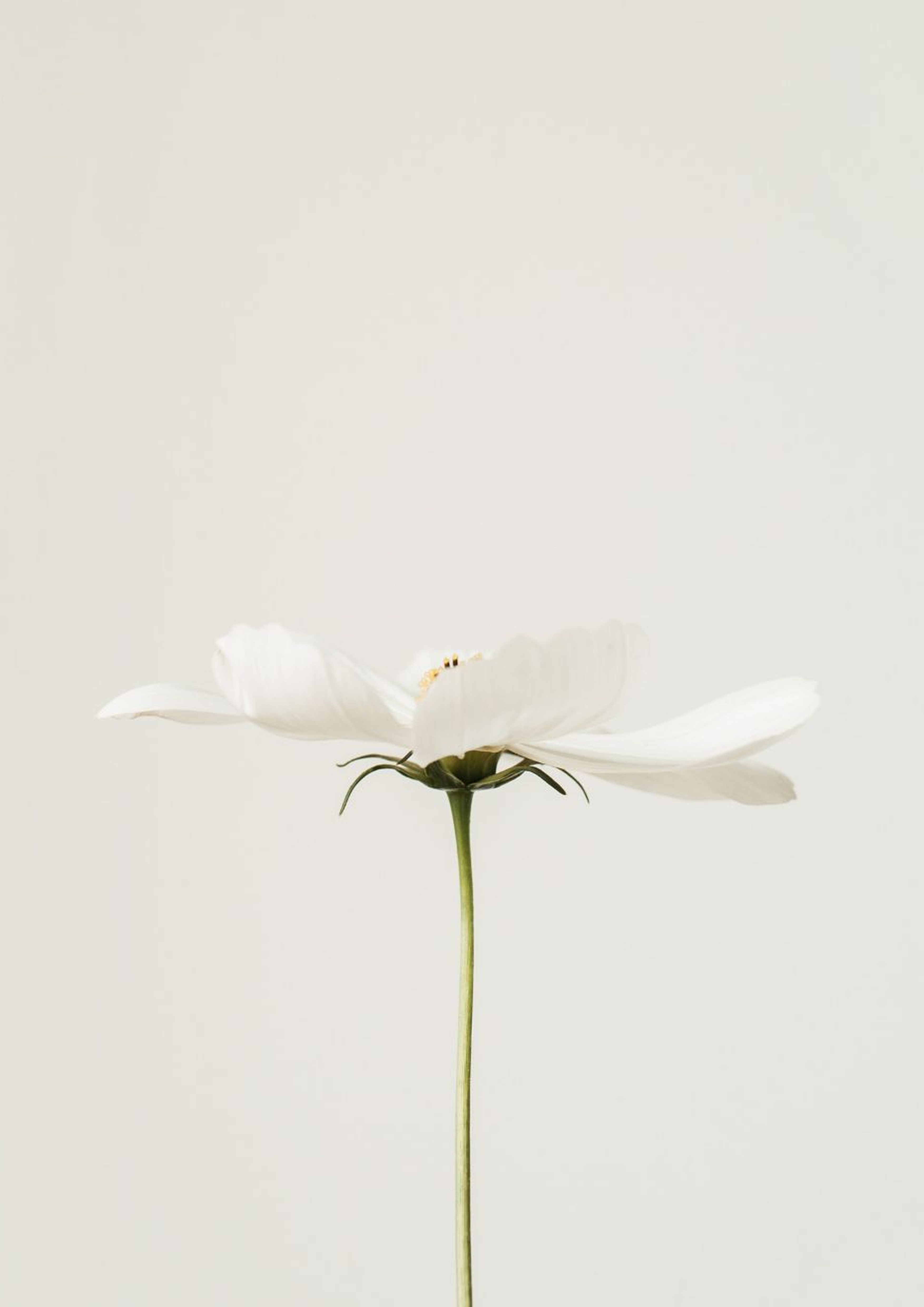 Je fais de mon mieux